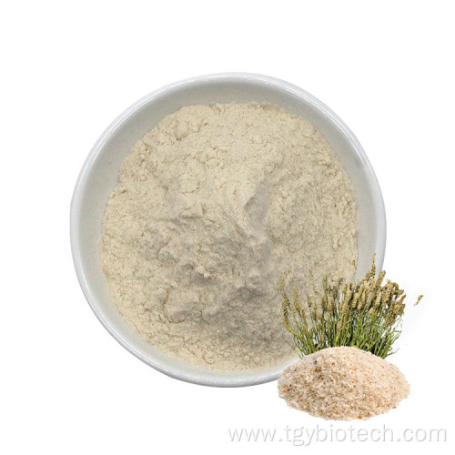 98% Dietary Fiber Organic Psyllium Husk Extract Powder